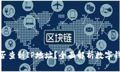数字钱包能否查到IP地址？全面解析数字钱包隐私机制