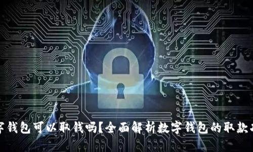 数字钱包可以取钱吗？全面解析数字钱包的取款功能