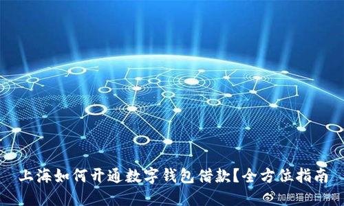 上海如何开通数字钱包借款？全方位指南