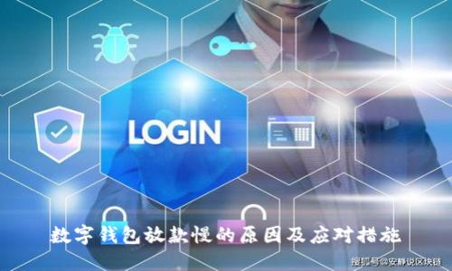 数字钱包放款慢的原因及应对措施