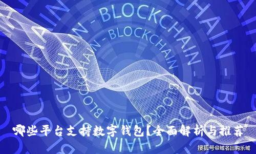 哪些平台支持数字钱包？全面解析与推荐