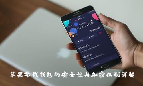 苹果零钱钱包的安全性与加密机制详解