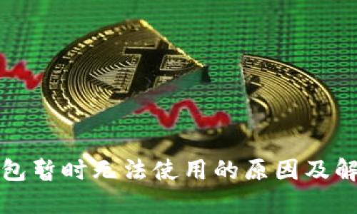 数字钱包暂时无法使用的原因及解决方法