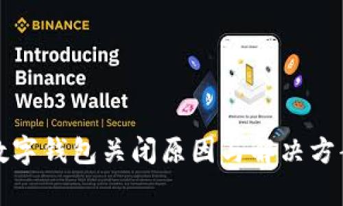 对公数字钱包关闭原因与解决方案分析