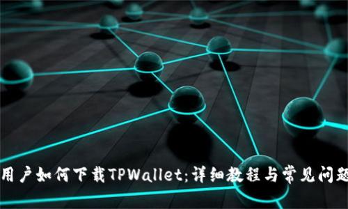 国内用户如何下载TPWallet：详细教程与常见问题解答