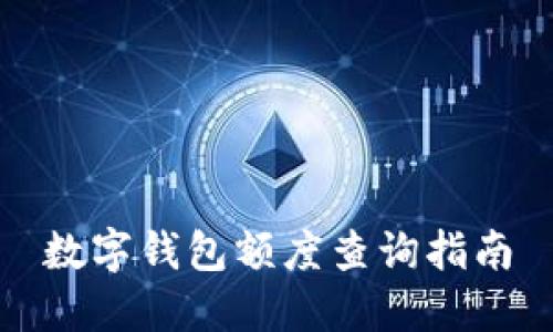 数字钱包额度查询指南