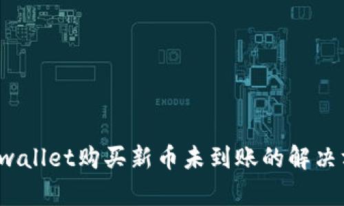  tpwallet购买新币未到账的解决方案
