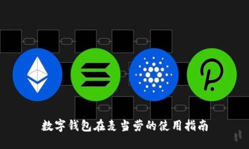 数字钱包在麦当劳的使用指南