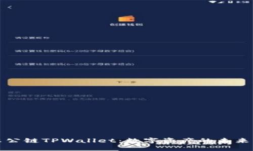 波尔公链TPWallet：数字资产的未来钱包