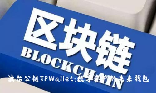波尔公链TPWallet：数字资产的未来钱包
