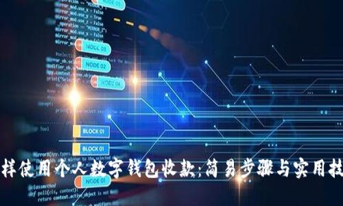 怎样使用个人数字钱包收款：简易步骤与实用技巧