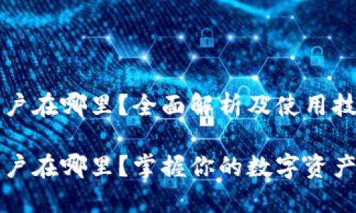 数字钱包账户在哪里？全面解析及使用技巧

数字钱包账户在哪里？掌握你的数字资产的最佳位置