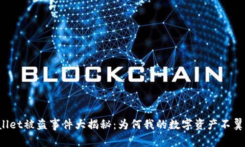 TPWallet被盗事件大揭秘：为何我的数字资产不翼而飞？