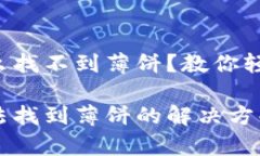 tpwallet怎么找不到薄饼？教