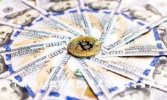 轻松下载Baxe数字钱包，开