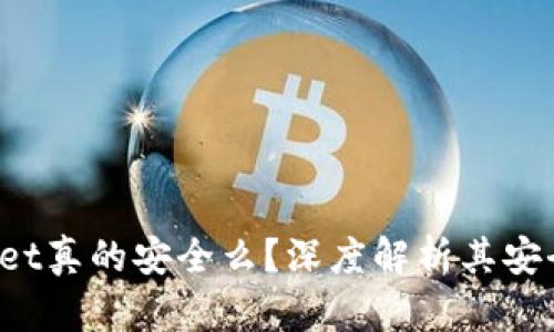 TokenPocket真的安全么？深度解析其安全性与风险