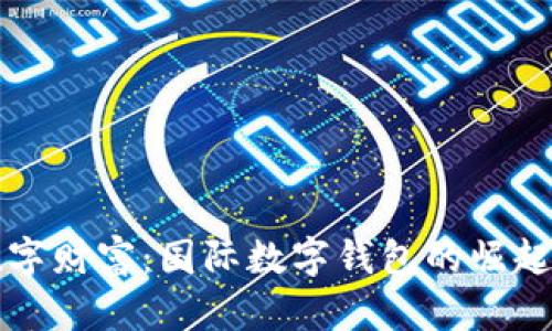 全球数字财富：国际数字钱包的崛起与未来