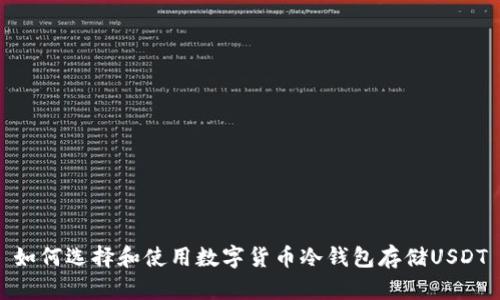 如何选择和使用数字货币冷钱包存储USDT