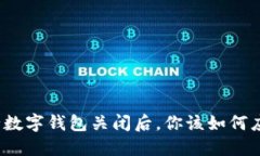 农行数字钱包关闭后，你