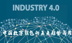 支付宝：中国数字钱包的