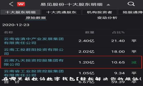 在哪里能投诉数字钱包？轻松解决你的烦恼！