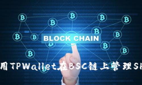 如何使用TPWallet在BSC链上管理SHIB代币