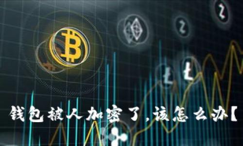 钱包被人加密了，该怎么办？
