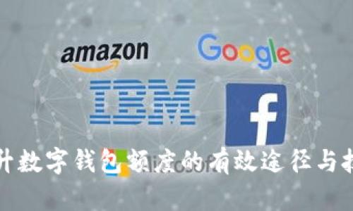 提升数字钱包额度的有效途径与技巧