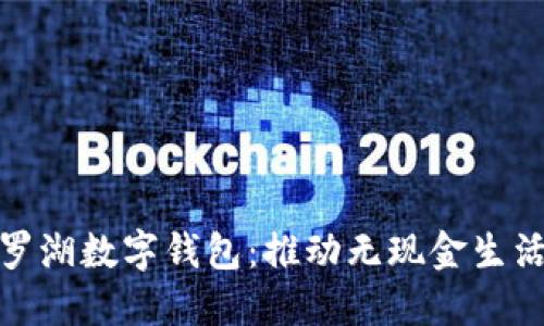 探索深圳罗湖数字钱包：推动无现金生活的新选择