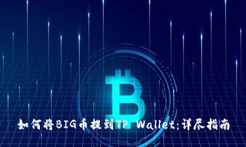 如何将BIG币提到TP Wallet：详尽指南