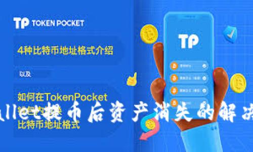 TPWallet提币后资产消失的解决方案