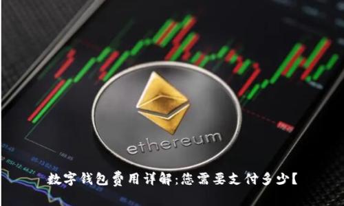 数字钱包费用详解：您需要支付多少？