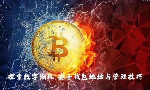 探索数字潮玩：安全钱包地址与管理技巧