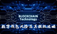 数字钱包风险及其提现攻