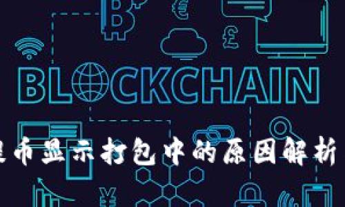 tpwallet提币显示打包中的原因解析与解决方案