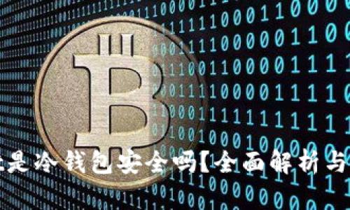 tpwallet是冷钱包安全吗？全面解析与使用指南