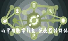 国内常用数字钱包：便捷