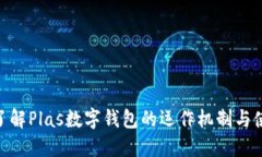 : 深入了解Plas数字钱包的