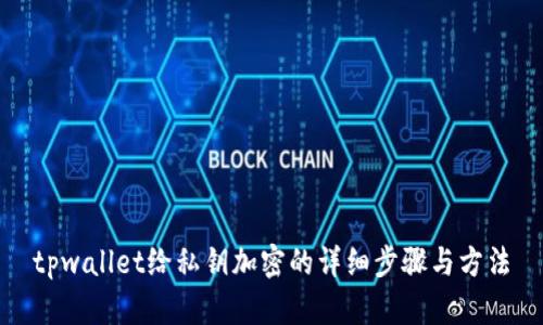 tpwallet给私钥加密的详细步骤与方法