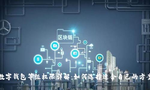 数字钱包等级权限详解：如何选择适合自己的方案