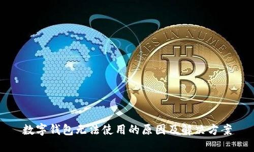 数字钱包无法使用的原因及解决方案