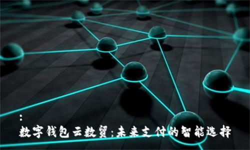 :
数字钱包云数贸：未来支付的智能选择