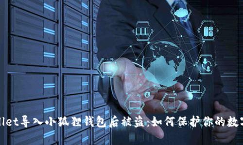 tpwallet导入小狐狸钱包后被盗：如何保护你的数字资产