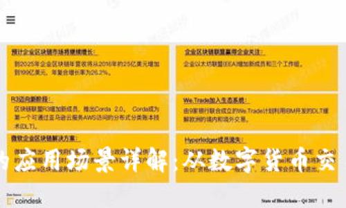 区块链钱包的应用场景详解：从数字货币交易到资产管理