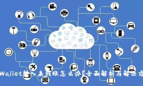 TPWallet转入未到账怎么办？全面解析与解决方案