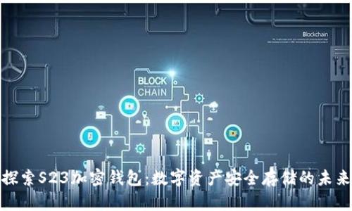 探索S23加密钱包：数字资产安全存储的未来