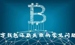 解决数字钱包还款失败的