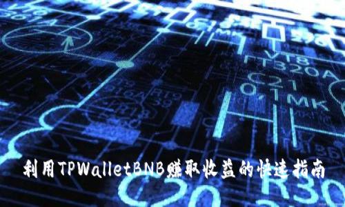 利用TPWalletBNB赚取收益的快速指南