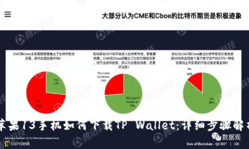 苹果13手机如何下载TP Wallet：详细步骤解析