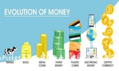 TokenPocket导入冷钱包的全攻